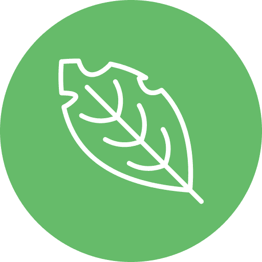 Dreamspire Works Logo